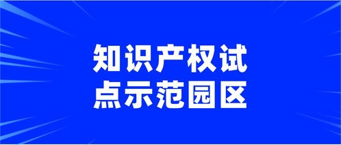 2020年上海市知识产权试点示范园区知识产权服务申报通知